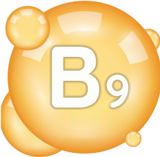 Symbol vitamínu B9